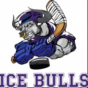 ХК Ice Bulls B