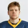Новиков Кирилл Романович