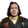 Горбунов Данила Станиславович