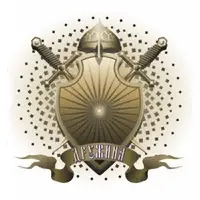 Дружина-ИДП