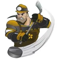 Полюс Gold