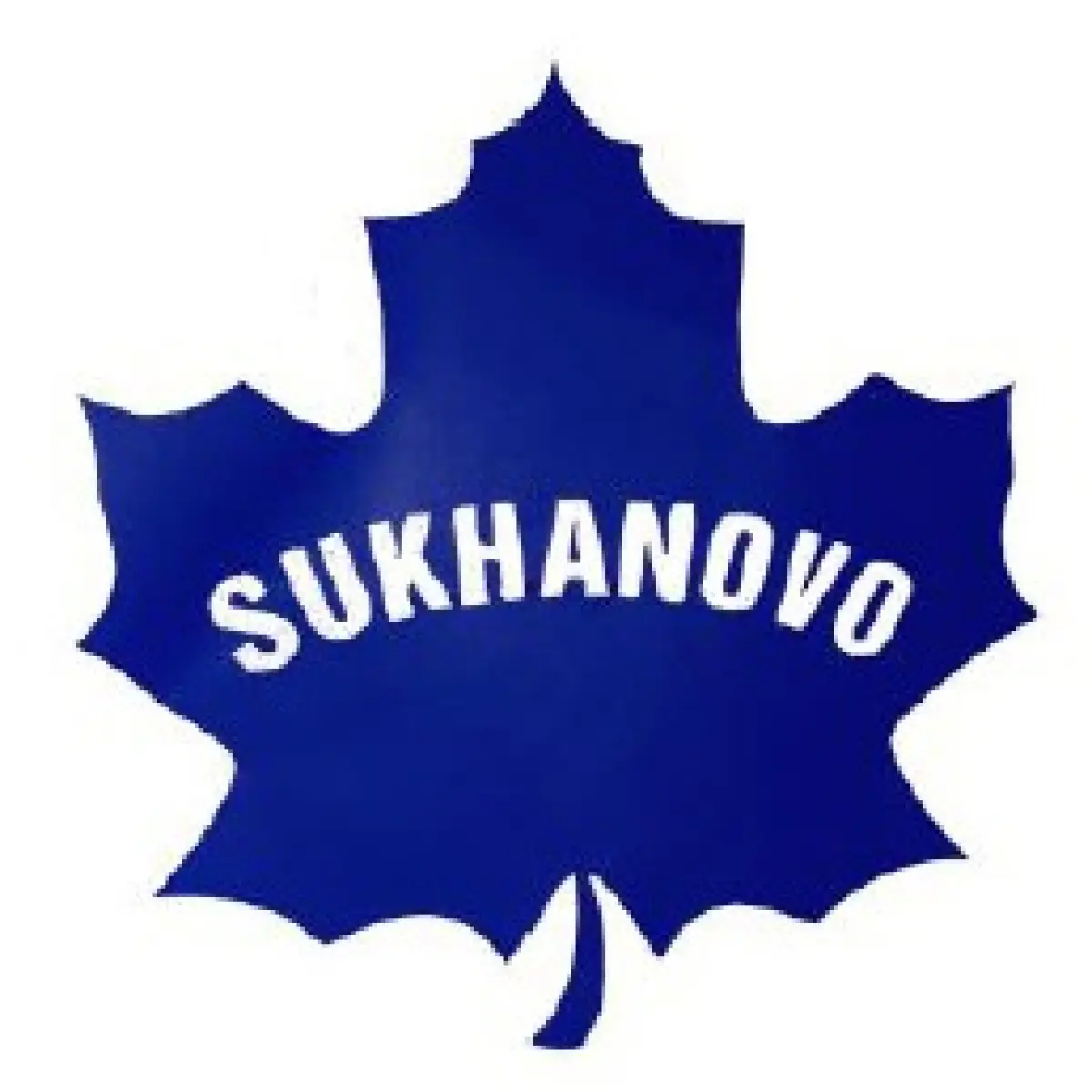 Логотип ХК Sukhanovo