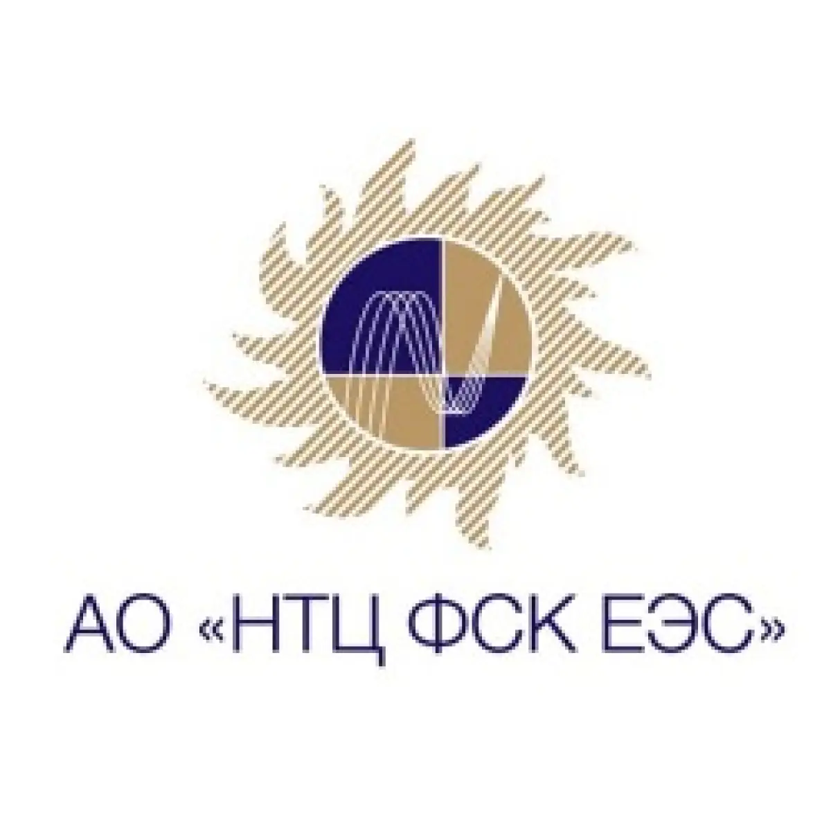 Логотип НТЦ ФСК Домодедово