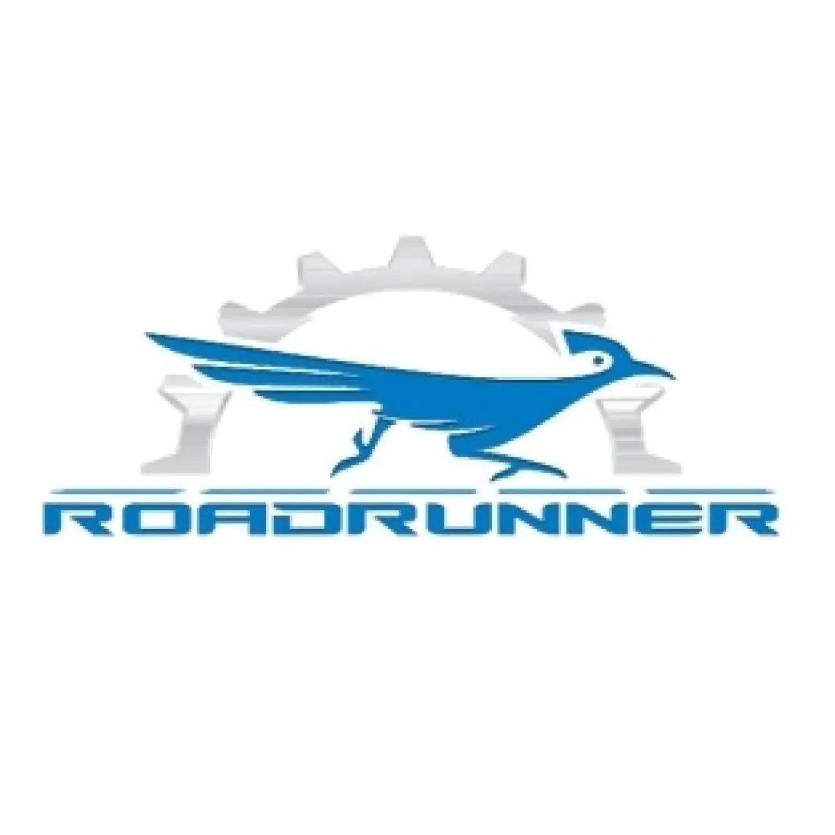 Логотип ХК ROADRUNNER