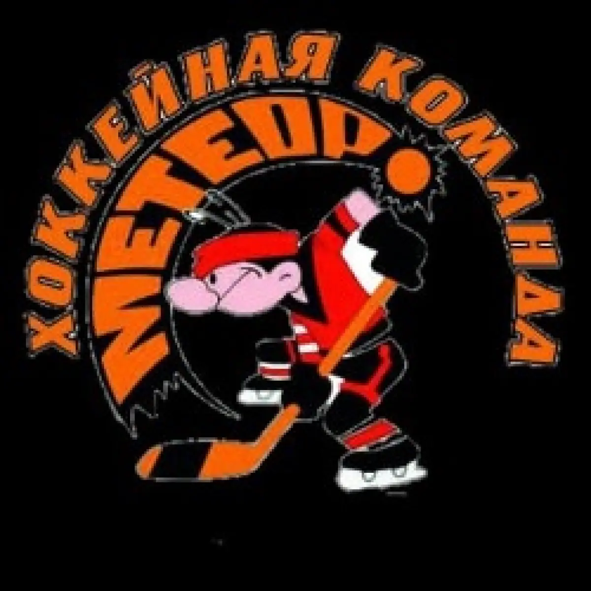 Логотип ХК Метеор