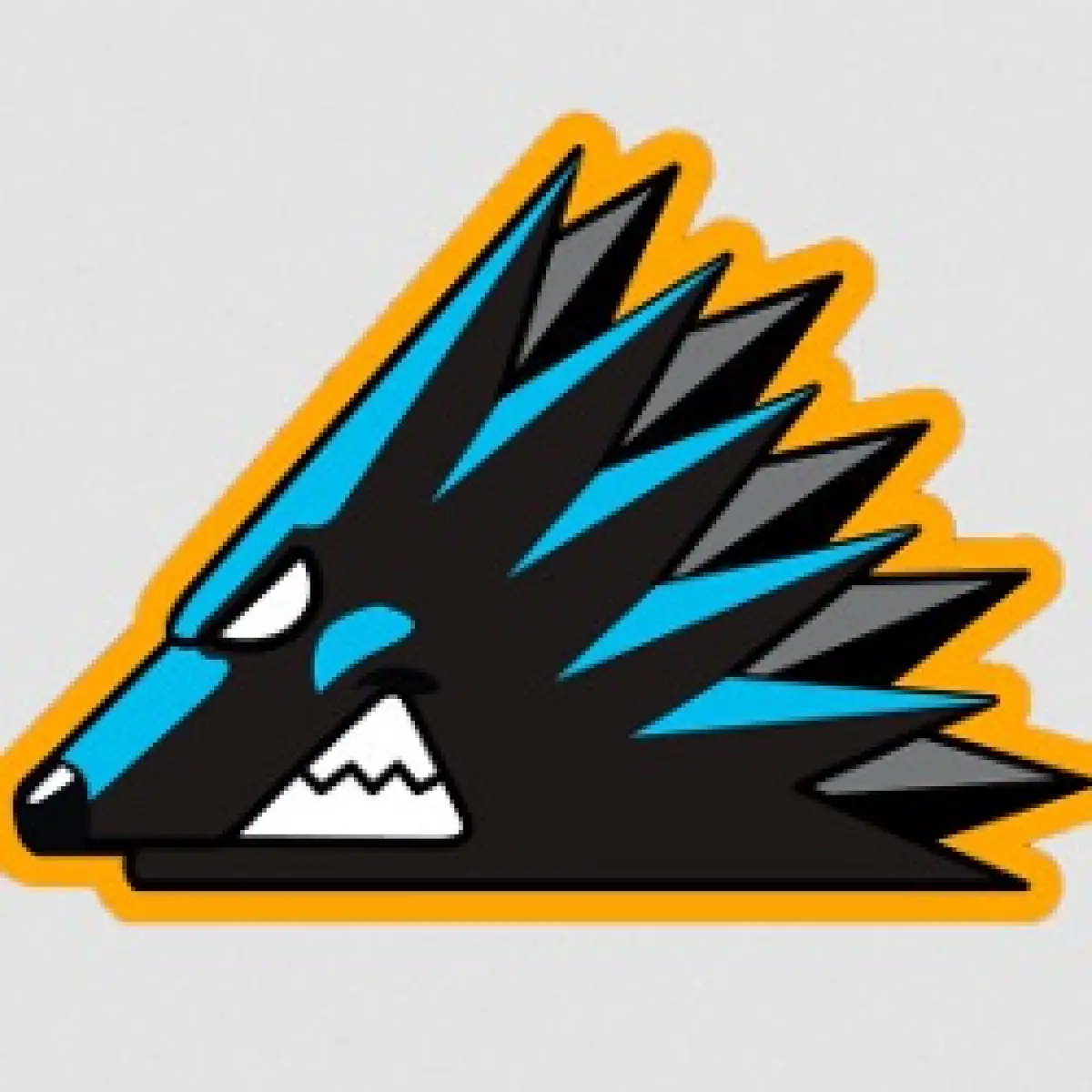 Логотип HC SKANTZOCHOIROS