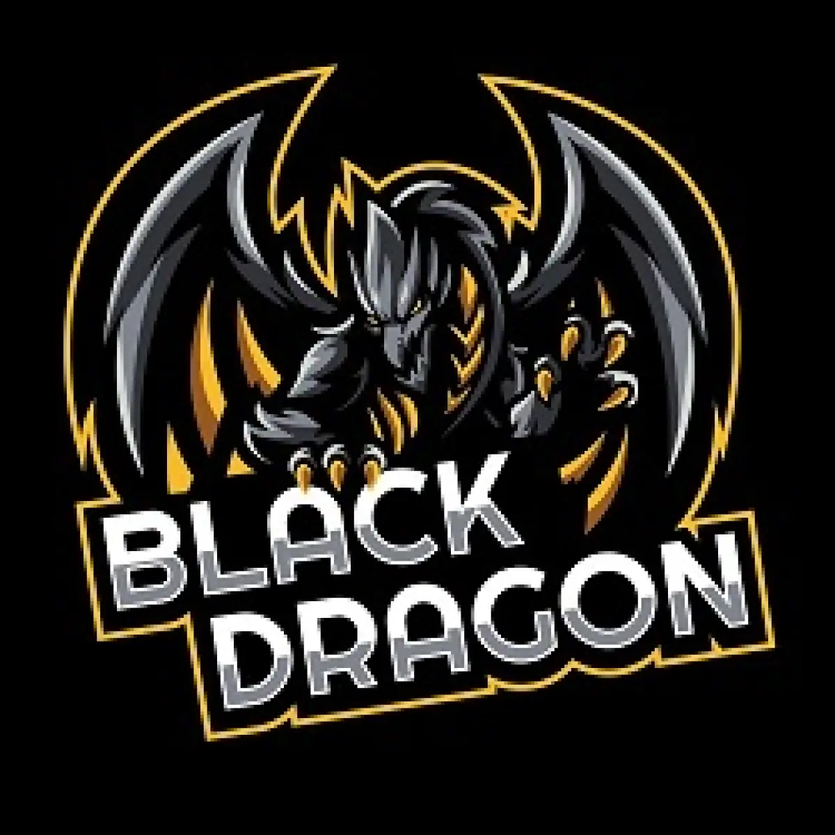 Логотип Black Dragon