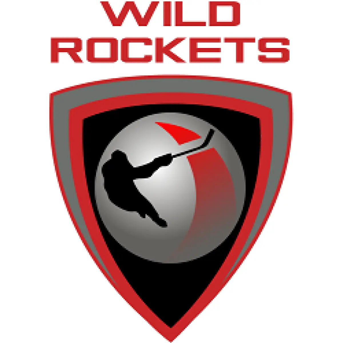 Логотип HC WILD ROCKETS