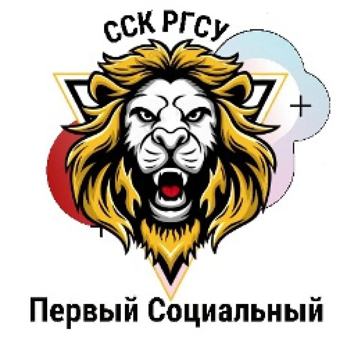 Логотип РГСУ
